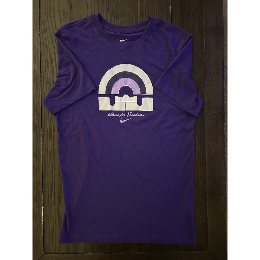 Nike LeBron James Strive for Greatness Dri-FIT Purple Graphic T-Shirt Mens Small